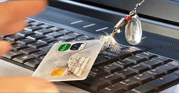 Мошенники! Домен может быть удален